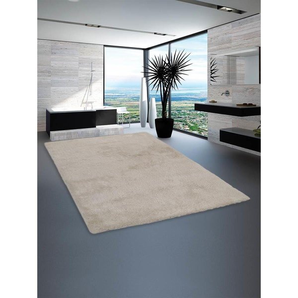 4 x 6 ft. Hand Tufted Shag Polyester Solid Rectangle Area Rug, White
